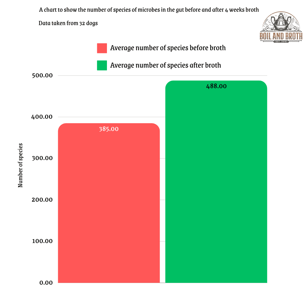 Biome Broth Study for Dogs