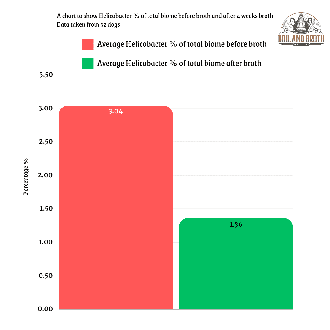 Biome Broth Study for Dogs